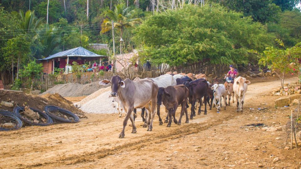 Exploring Honduras: Must‑See Destinations and How Connectivity Enhances the Journey – honduras