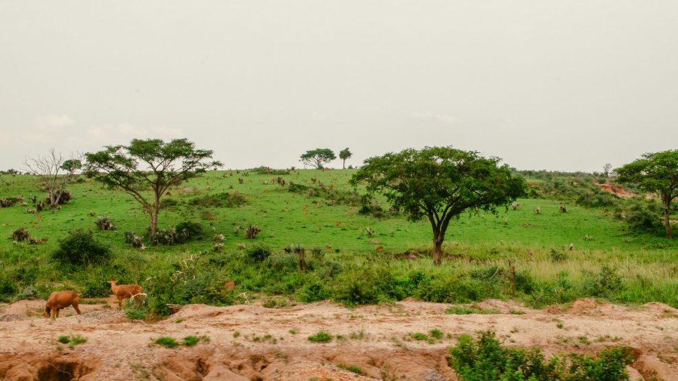 Introduction – uganda